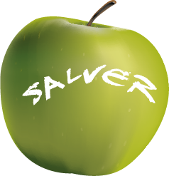 Logo di Salver